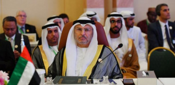 No diplomatic ties to Qatar yet, but trade, travel resuming, says UAE