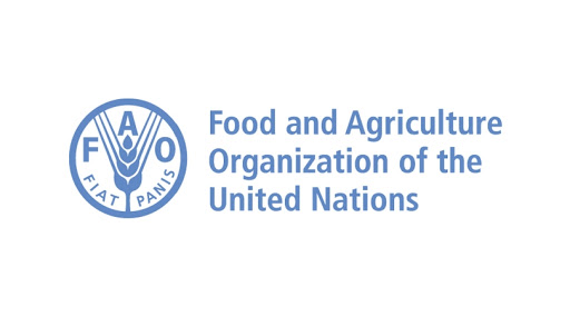 FAO head calls for efforts to strengthen world food systems