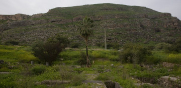 Archaeologists find ruins of early mosque in N Israel