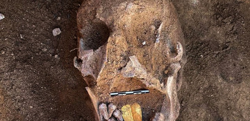 Archaeologists discover mummies with golden-tongues in Egypt