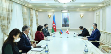 Speaker of Azerbaijani parliament, Georgian ambassador discuss prospects for development of relations