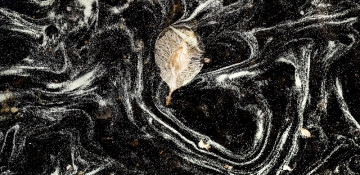 Global warming brings earlier, heavier pollen season