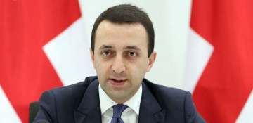 Georgian parliament approves Garibashvili cabinet