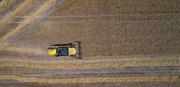 Global food price up for 9th consecutive month: UN body