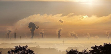 Pandemic led to higher air quality in 2020: Report