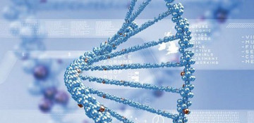 Israeli researchers discover new RNA type