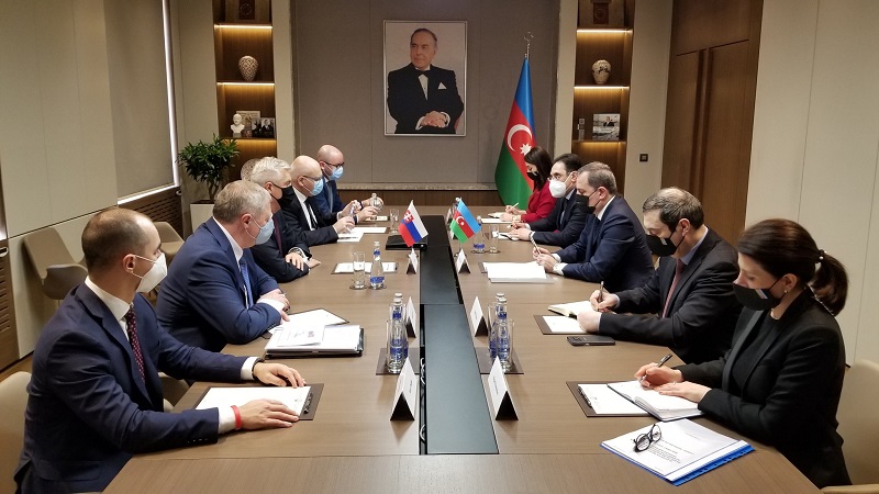 Azerbaijani, Slovak foreign ministers meet in Baku