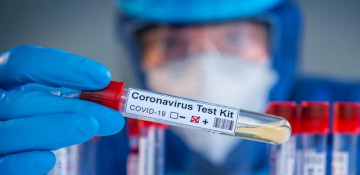 Coronavirus cases worldwide up 8% in past week