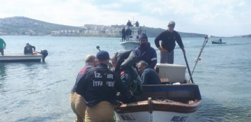 Military jet trainer crashes in western Turkey