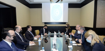 Assistant to Azerbaijani President meets with State Secretary for Security Policy of Hungary