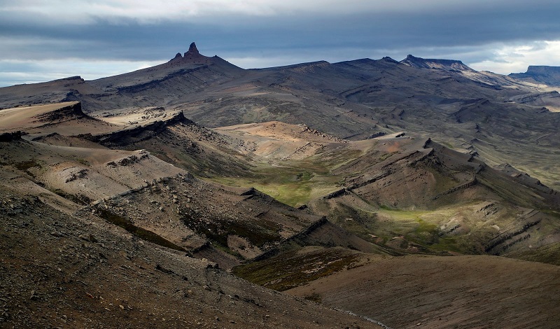 Beast of 5 teeth: Skunk fossil from dinosaur age found in Chile