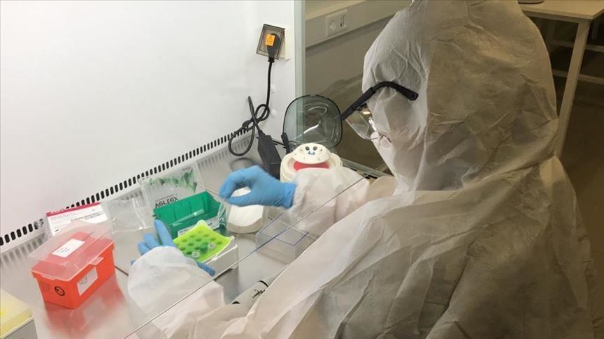 Georgia reports significant increase in COVID-19 cases