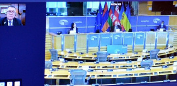 Azerbaijani MPs attend Euronest PA’s online plenary meeting