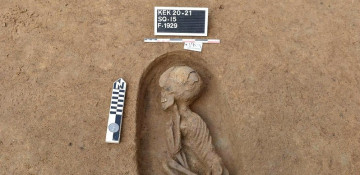 Egypt archaeologists find 110 ancient tombs older than Pharaohs