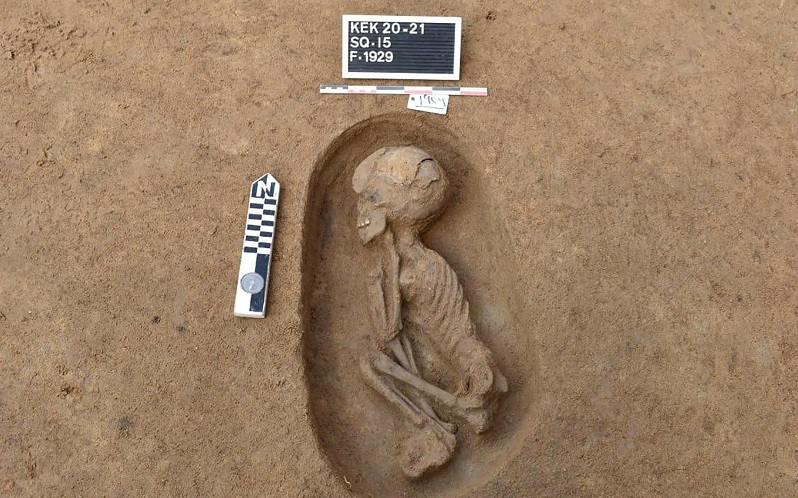 Egypt archaeologists find 110 ancient tombs older than Pharaohs