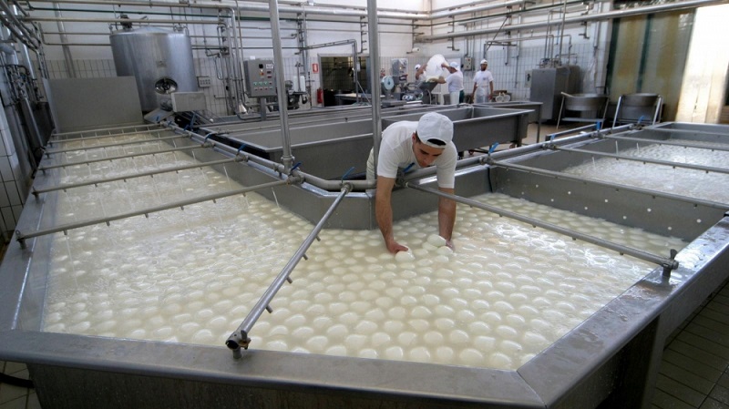 Famous Italian Mozzarella di buffalo cheese to be produced in Azerbaijan`s Zangilan district