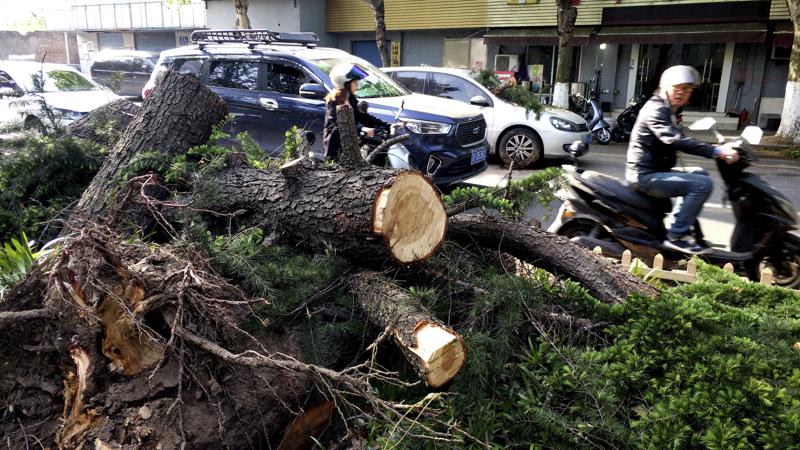 Extreme weather kills 11, injures 102 in eastern China