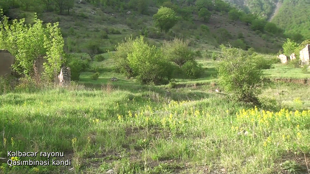 Azerbaijan releases video footage from Kalbajar’s Gasimbinesi village
