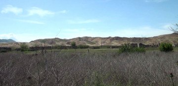 Azerbaijani MoD shares video footage of Jabrayil's Mashanli village