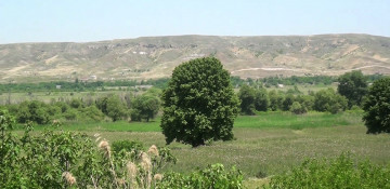 Azerbaijani MoD shows video footage from Tinli village of Gubadli district
