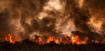 Wildfires sweep across Bolivia's Pantanal wetlands