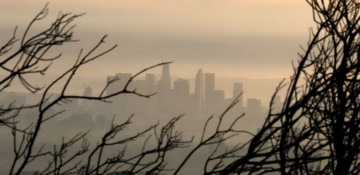 Carbon dioxide in the air at highest level since measurements began