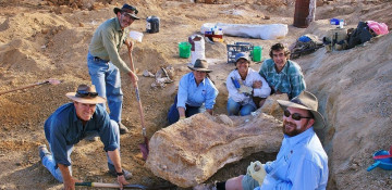 New dinosaur species, one of world's largest, found in Australia