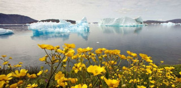 World Bank commits to annual reports on climate action plan