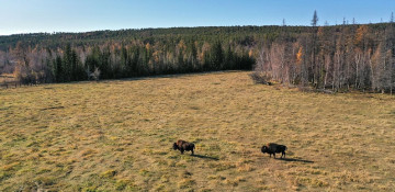 Fierce forest fires erupt in Russia's Yakutia