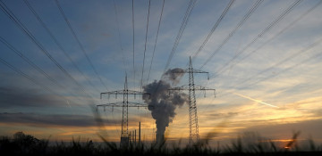 Draft UN agreement on biodiversity targets conservation, pollution, finance