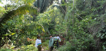 Over 10,000 species risk extinction in Amazon, says landmark report