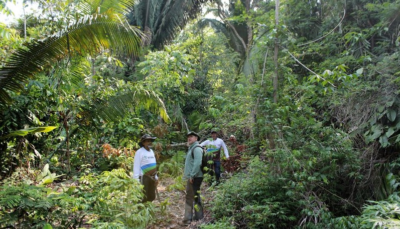 Over 10,000 species risk extinction in Amazon, says landmark report