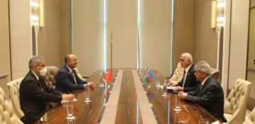 Azerbaijani Deputy PM meets Turkish FM