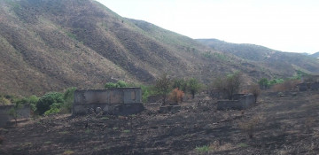 Azerbaijan shares new footage from liberated Gubadli district