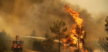 88 of 98 forest fires under control in Turkey: Minister