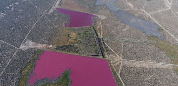 Argentina’s lakes turn pink but the outlook is not rosy, environmentalists say