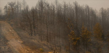 2 more die in southern Turkey forest fires, death toll at 6