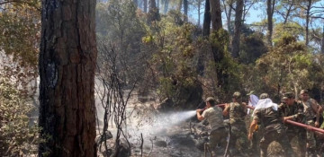 Azerbaijani firefighters continue extinguishing wildfires in Turkey (PHOTO/VIDEO)