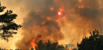Forest fires take hold across Turkey’s south as more evacuate