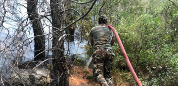 Azerbaijani firefighters protecting power plants in Turkey from fire spread (PHOTO/VIDEO)