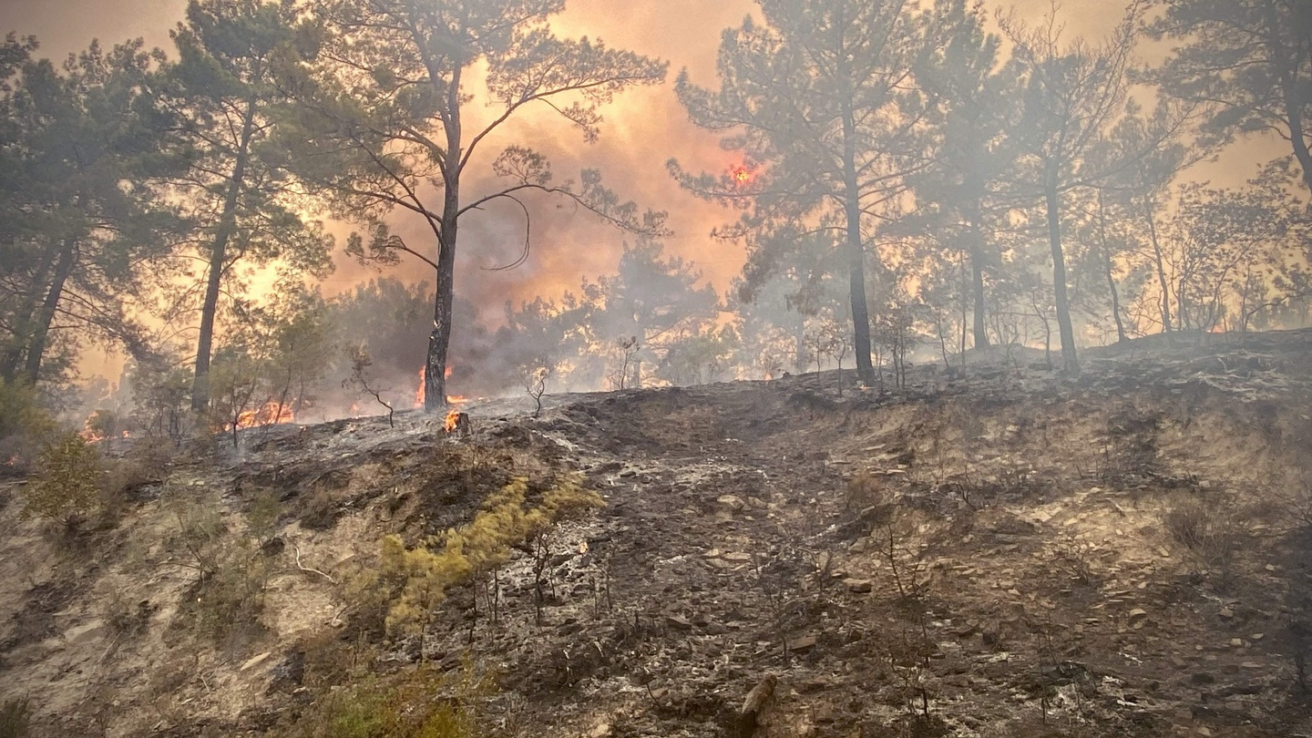 Number of forest fires in Turkey reduced to 5