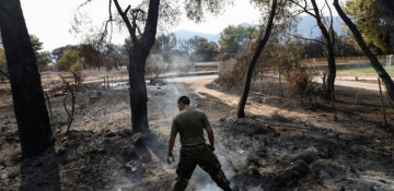 PM apologises as Greece counts costs of wildfire catastrophe