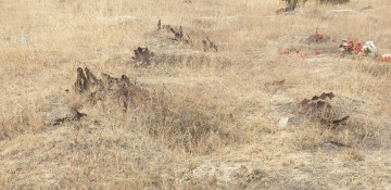 Israeli journalists shocked by traces of Armenian barbarism in cemeteries in Azerbaijan’s Aghdam