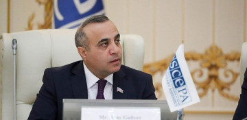 Azay Guliyev appointed OSCE PA Special Representative on South East Europe