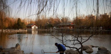 China submits draft biodiversity declaration to United Nations