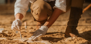 43 million-year-old fossil of 4-legged whale found in Egypt