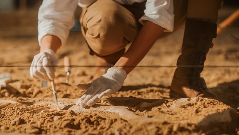43 million-year-old fossil of 4-legged whale found in Egypt