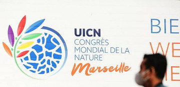 World Conservation Congress opens in Marseille to address ecological plight