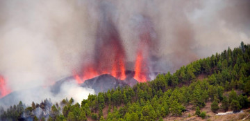 Volcanic eruption in Canary Islands destroys over 500 houses