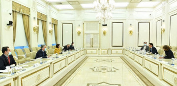 Speaker of Azerbaijani parliament meets NATO Secretary General’s Special Rep (PHOTO)